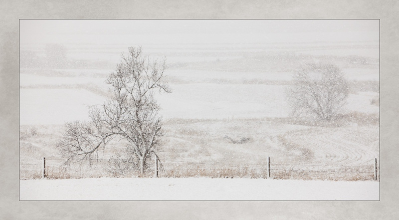 Snow_2014_02_20_2647